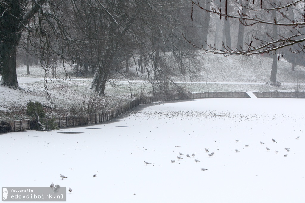 2010-11-29 Sneeuw, Deventer 020